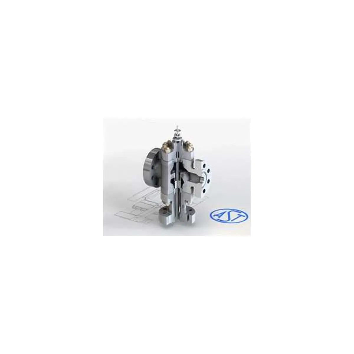 Ast CV-8000 Control Valve 3