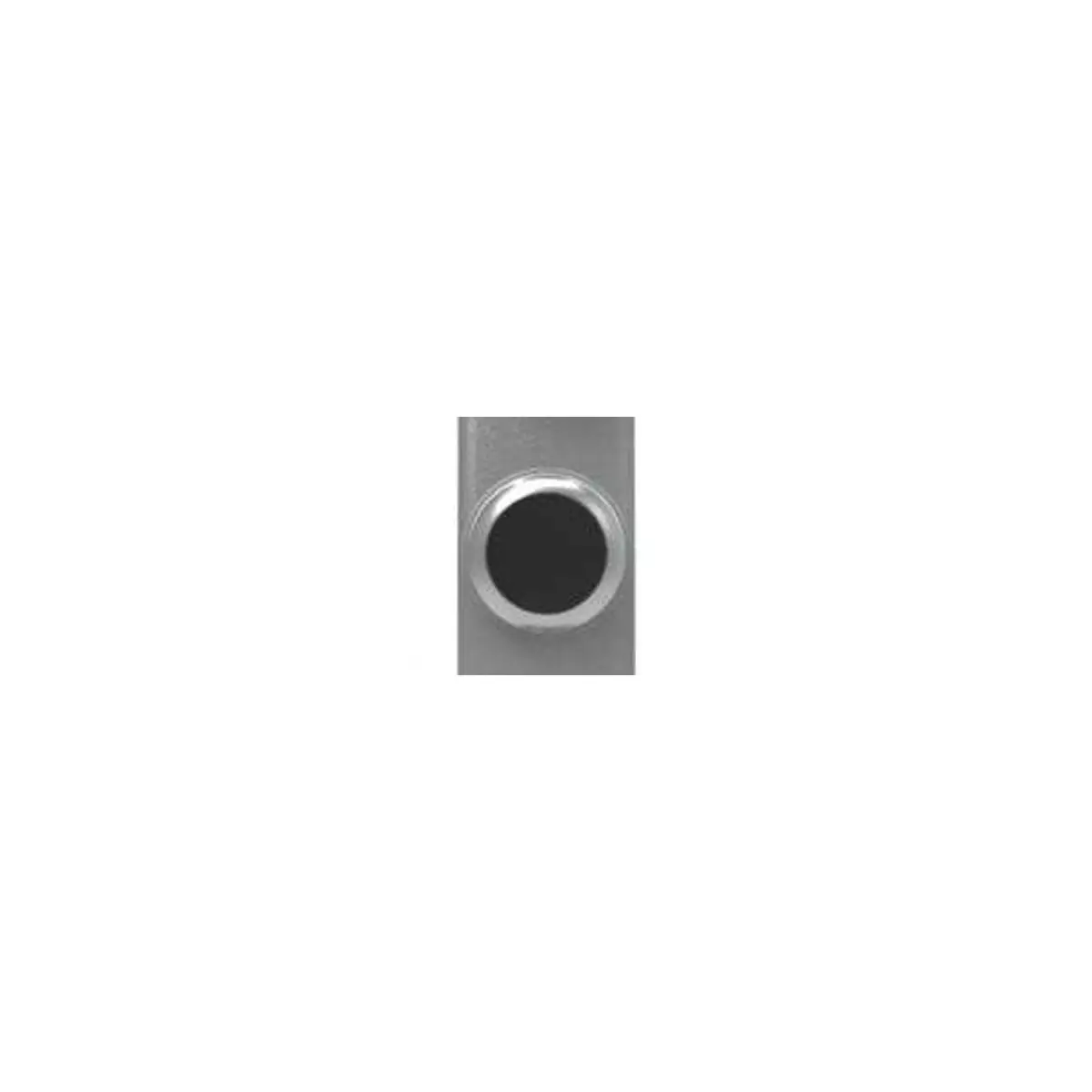 Fortress Interlocks TPB Non Illuminating Push Button 3