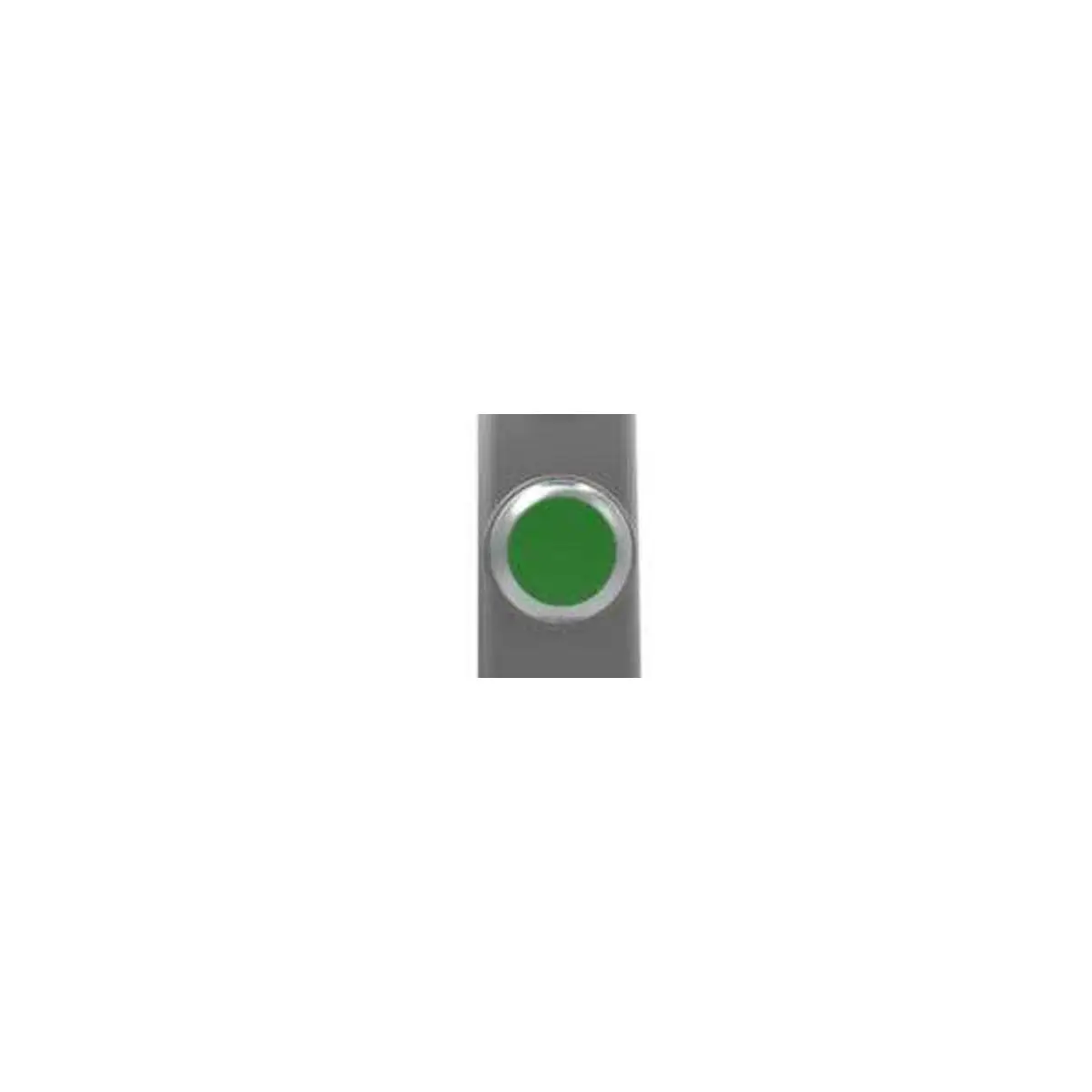 Fortress Interlocks TPG Non Illuminating Push Button 3