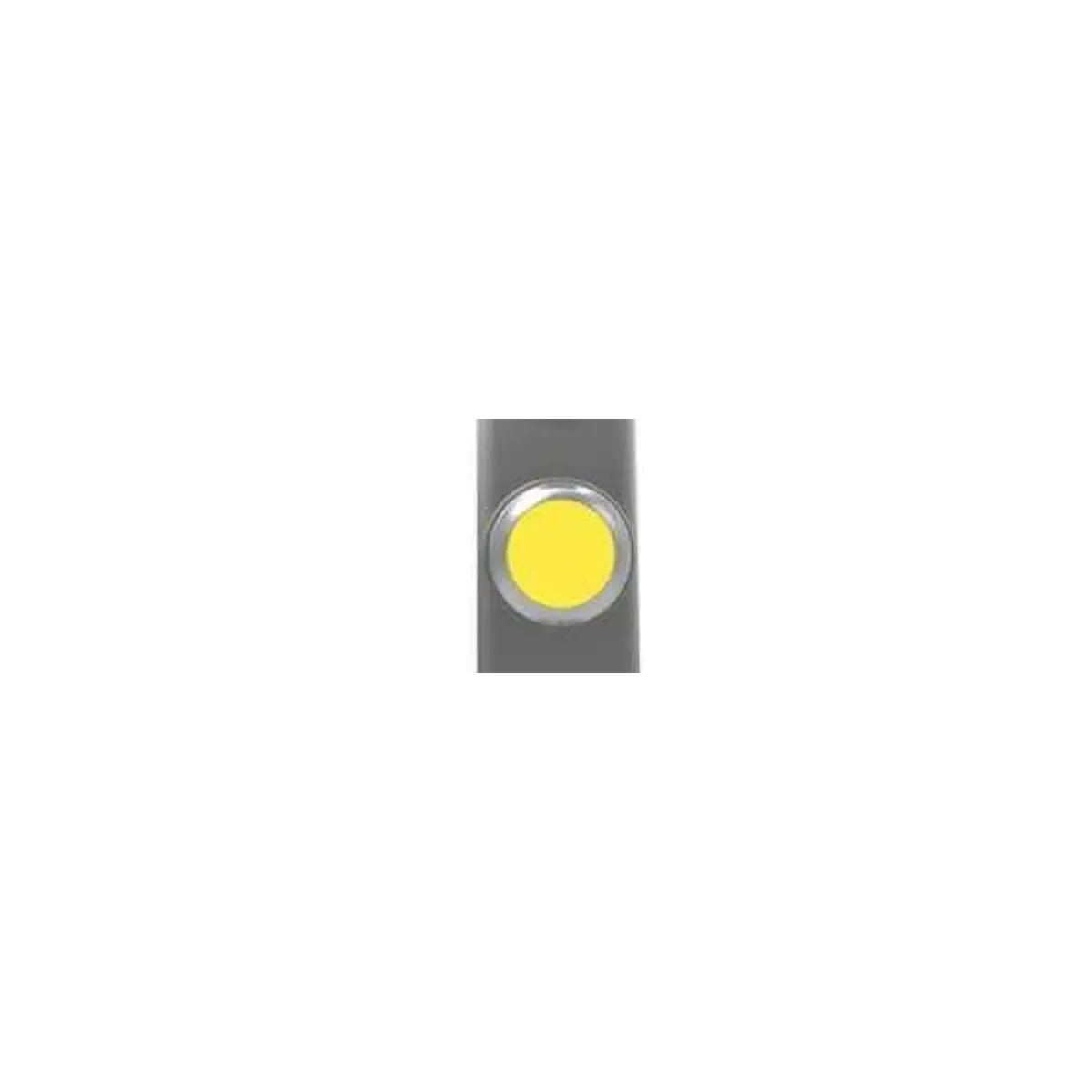 Fortress Interlocks TPY Non Illuminating Push Button 3