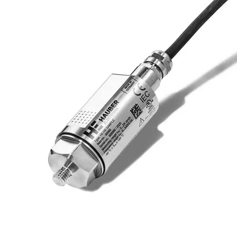 Hauber Vibration HE100.00.20.00.00.00.020 Control 3