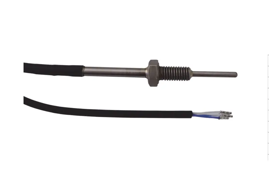 Senseca GTF102-P4-Z-MB0-30-0100-G1-L01-S Screw-ın Probe 5